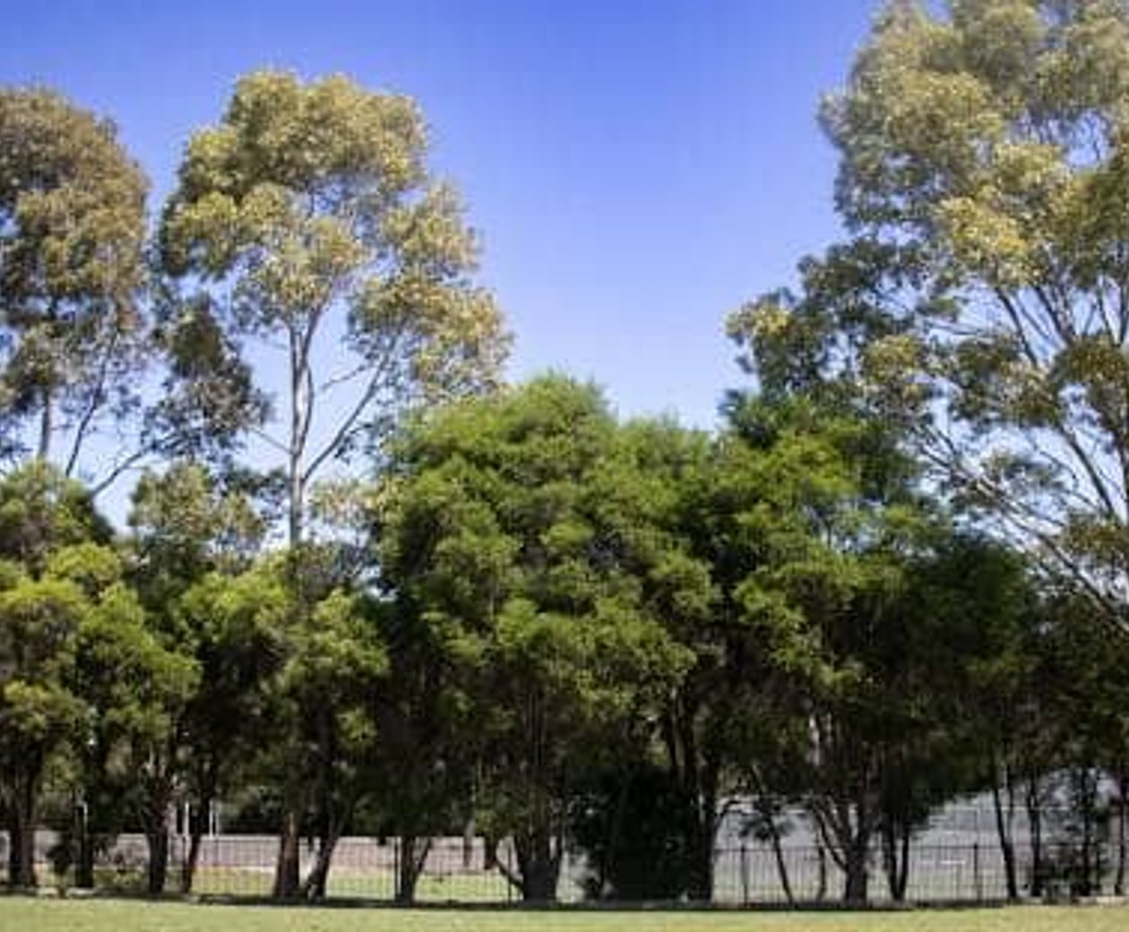 Custom home building in Kellyville, NSW