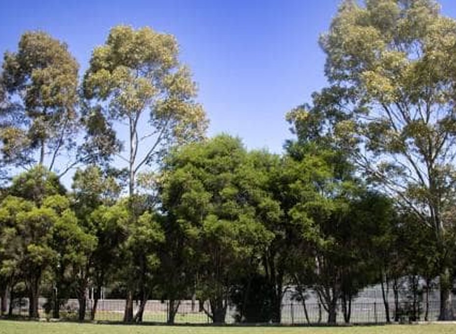 Home builder in Kellyville Hills District